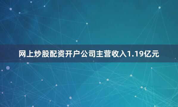 网上炒股配资开户公司主营收入1.19亿元